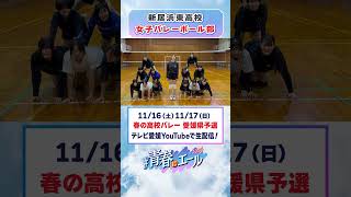 春高バレー2024県予選に向けて🏐 [upl. by Eirellav458]