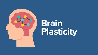 Brain Plasticity [upl. by Woodhouse404]