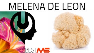 ✅🌿 Beneficios y propiedades de la MELENA DE LEON suplemento natural para CUIDAR CEREBRO e INTESTINOS [upl. by Cod]