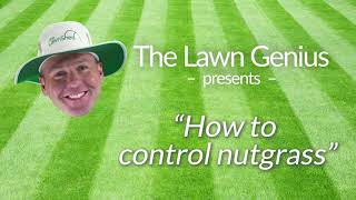 How to Control Nutgrass [upl. by Sinnod]