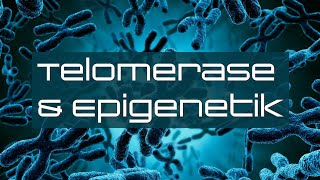 Telomerase amp Epigenetik  Chance für die Menschheit [upl. by Slavic]