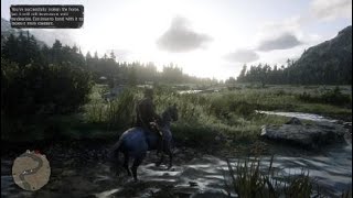 Red Dead Redemption 2 Wild Nokota Location [upl. by Wilburt453]