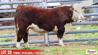 LOT 30 TUMMEL PACKSADDLE T359 S [upl. by Lucania]