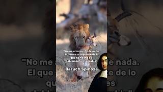 Barch Spinoza baruchspinoza spinoza frases arrepentimiento [upl. by Maurie]