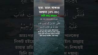 সূরা আলবাকারা ৩৭৩৮  surah albaqarah 3738 qari abu rayhan shorts shortvideos islamic [upl. by Aisset210]