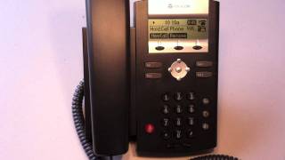 PolyCom 2 Line Phone  Placing A Call on Hold [upl. by Obbard]