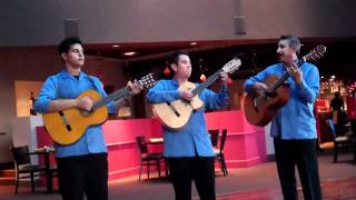 Cucurrucucu Paloma Mexican Trio Music [upl. by Nnairol256]