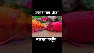 আমার সাথে বাটপারি  Macher Cartoon Bhuter Cartoon Amezing Facts Bangla Cartoon shorts [upl. by Garbe]