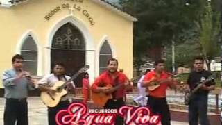 Agua Viva La Venenosa YouTube [upl. by Eberle407]