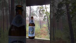 🍺 Bierchen im Wald 11102024 1716 Uhr nature beer forest [upl. by Jary]