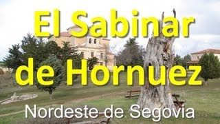 Sabinar de Hornuez [upl. by Llerdnam]