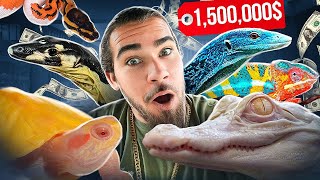 1500000 in REPTILES at the Daytona Reptile EXPO [upl. by Drofnil]