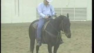 Training Tips Halting amp Backing Your Horse eXtension [upl. by Bratton]