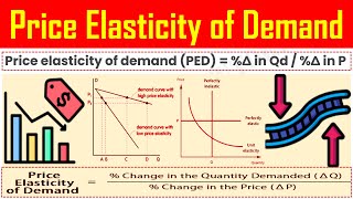 Price Elasticity of Demand  Definition Meaning Calculation Formula Explained [upl. by Nelie]