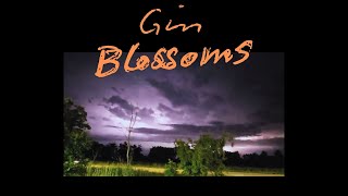 Gin Blossoms amp Minnesota Lightning Storm [upl. by Avuha]