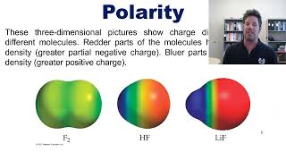 Chapter 8 – Part 4 Electronegativity Polarity and Bond Enthalpy [upl. by Lisbeth713]