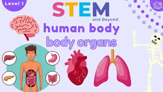 Human Body Organs  Science For Kids  STEM Home Learning [upl. by Hajan]