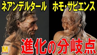 出アフリカが大きな分岐点！ネアンデルタール人とホモ・サピエンスの運命が決まった分かれ道とは？ [upl. by Aieki]