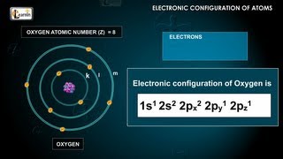 Electronic configuration of atoms using Aufbau Paulis principle and Hunds rule  Chemistry [upl. by Anerbes]