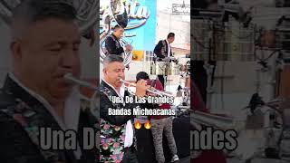 Una De Las Grandes Bandas Michoacanas musicadeviento bandadebandas shorts [upl. by Calore]