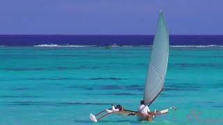 The Brando Resort  Tetiaroa Tahiti [upl. by Buerger]