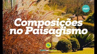 Dicas de composições no Paisagismo [upl. by Domingo]