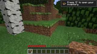 Minecraft Dell Latitude D620 Quality Test [upl. by Daffy]