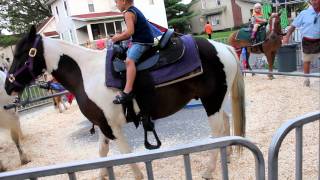 Pony ride at fair Bucks Kid [upl. by Salta]