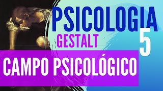 PSICOLOGIA 42 GESTALT 5 CAMPO PSICOLÓGICO  COM EXEMPLOS PRÁTICOS [upl. by Nawram]