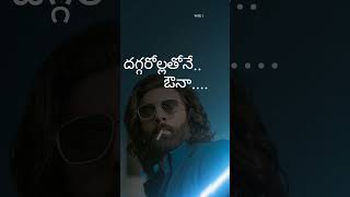 Yalo Yalo Yalore  Animal Telugu Movie Song  telugushorts telugusongs telugulyrics [upl. by Idnic]