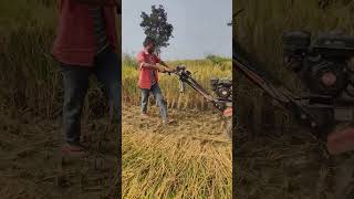 £Kisani kisan ripar masin youtube ripar mshin [upl. by Crofoot]