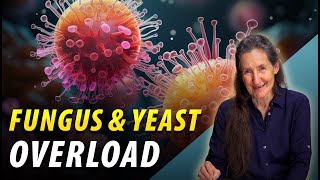 Fungus or Yeast Overload  Health Tips  Barbara ONeill [upl. by Nylhsoj]