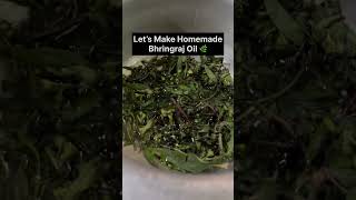 Bhringraj oil🌿✨subscribe ytshorts homemade [upl. by Gylys]