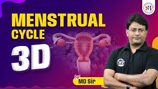 MENSTRUAL CYCLE CLASS 12  IN 3D ANIMATION  MENSTRUAL CYCLE DETAILED EXPLANATION  BY MD SIR [upl. by Mariana]