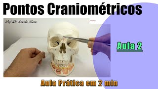 Pontos craniométricos  Parte 2  Prática  Anatomia Humana [upl. by Briscoe613]