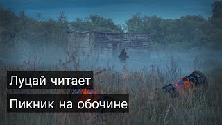 Луцай читает «Пикник на обочине» [upl. by Farhsa230]