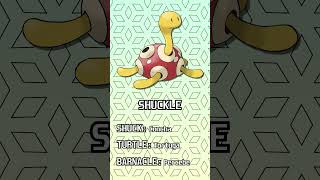 🐚Etimología Pokémon SHUCKLE🐚 [upl. by Vano892]