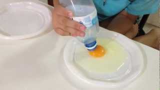 Best Way to Separate Egg Yolk and Egg White with Bottle [upl. by Alfy522]