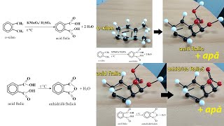 Modelarea reacției de oxidare a ortoxilenului [upl. by Llenreb]