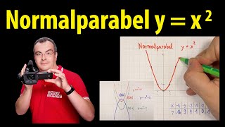 Normalparabel y  x2  quadratische Funktionen  Grundlagen  Lehrerschmidt [upl. by Gausman]