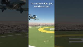 When its a windy day and you need your jet shorts flightsimulator [upl. by Iruahs958]