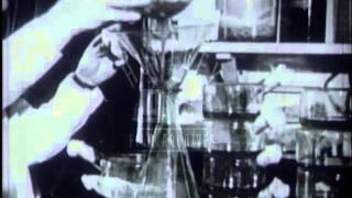 Fleming Florey and Chain and the discovery of penicillin Film 15072 [upl. by Rubbico301]