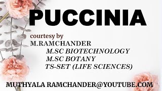 Puccinia Life cycle for english medium [upl. by Elletnahc]