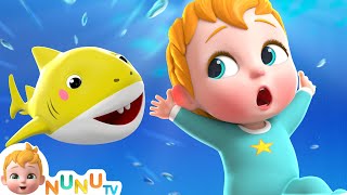 Baby Shark Song  Nursery Rhymes amp Kids Songs  NuNu Tv Baby Songs [upl. by Barling]