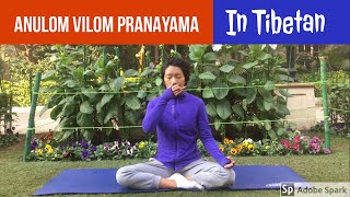 Anulom vilom pranayama in tibetan  its benifits [upl. by Yerdna254]