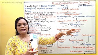 07 HMP Shunt Part 01  Hexose Mono Phosphate Shunt  Pentose Phosphate Pathway  Biochemistry [upl. by Nylaroc]