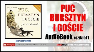 PUC BURSZTYN i GOŚCIE Audiobook MP3 🎧 rozdział 1  posłuchaj i pobierz całość [upl. by Bocyaj]