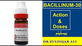 Bacillinum  Action  Doses  Explained in UrduHindi [upl. by Biegel]