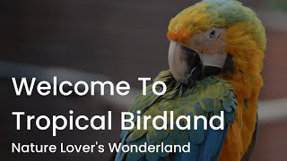 SAM1 visits Tropical BirdLand in Desford England [upl. by Enitsahc]