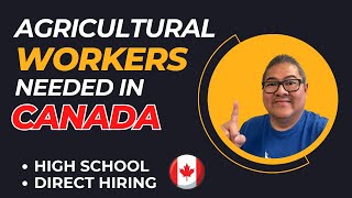 AGRICULTURAL WORKERS NEEDED IN CANADA I DIRECT HIRING I HIGH SCHOOL DIPLOMA I BUHAY SA CANADA [upl. by Admama]